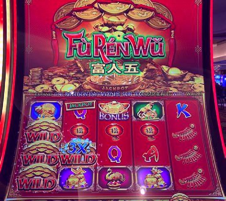 Ace Ventura Pet Detective slot game