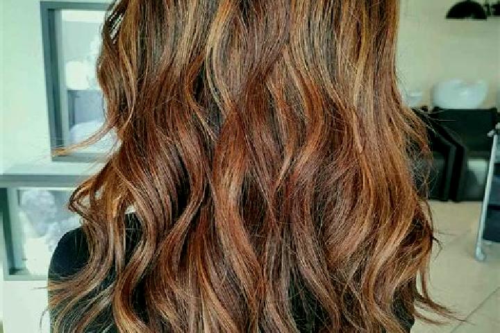 Bears Corner slot game