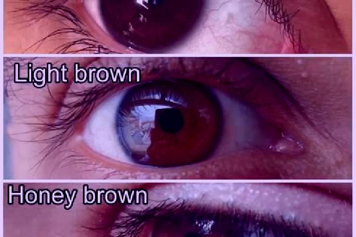 Chronicles of Olympus II - Hades slot
