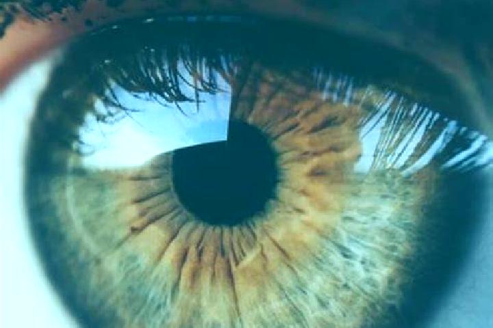 Ladies Nite 2 Turn Wild online slot