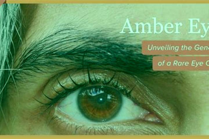Lucky Tiger 2 online slot