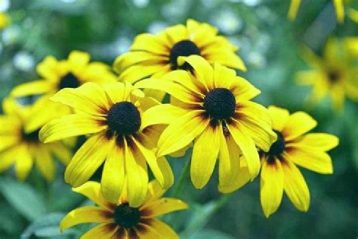 Paul Cezanne slot game