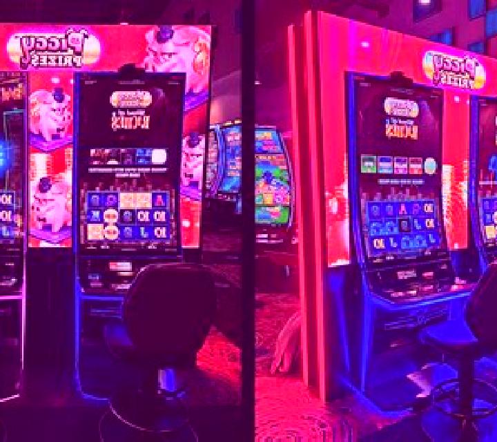 Power Paws online slot