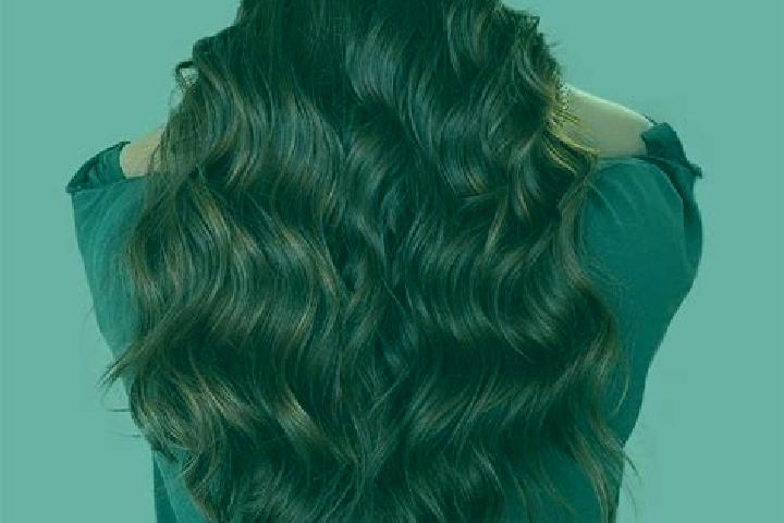 Rosemary slot game