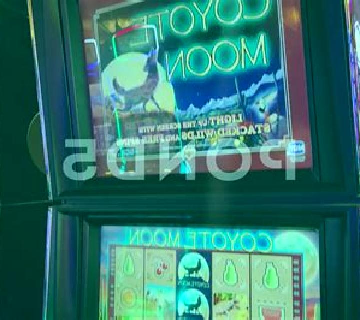 Slot Car Races slot game