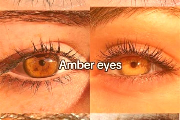 Wild Flips on Top slot game
