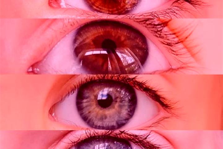 Wildscapes Scratch slot game